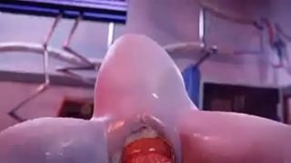 Anime Adult Content 5