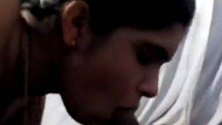 Desi wife relishing a deep throat and getting taken from behind