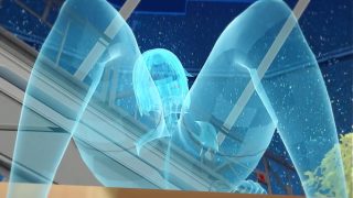 Virtual Vixen – Holographic Pleasure Simulation